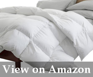 5 Best Lightweight Comforter 2020 Comfortersetreviews