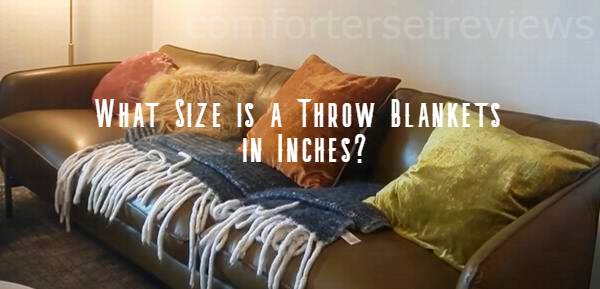 what size is throw blanket